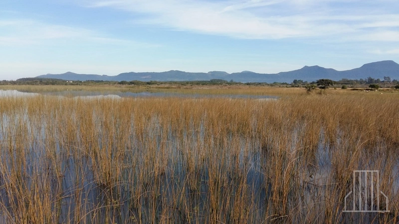 LINDÍSSIMO SÍTIO ESPETACULAR À VENDA NO PALMITAL, EM OSÓRIO!: 14ª foto da galeria de imagens do imóvel