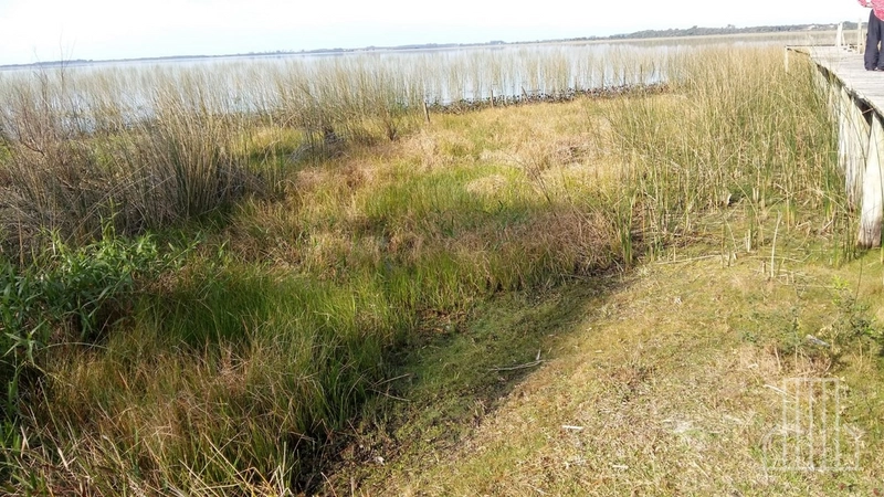 LINDÍSSIMO SÍTIO ESPETACULAR À VENDA NO PALMITAL, EM OSÓRIO!: 21ª foto da galeria de imagens do imóvel