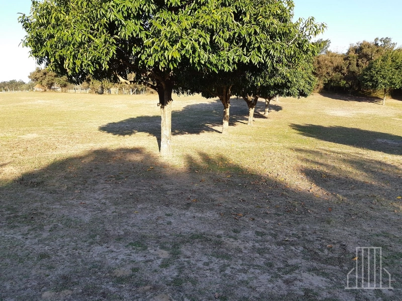 LINDÍSSIMO SÍTIO ESPETACULAR À VENDA NO PALMITAL, EM OSÓRIO!: 10ª foto da galeria de imagens do imóvel