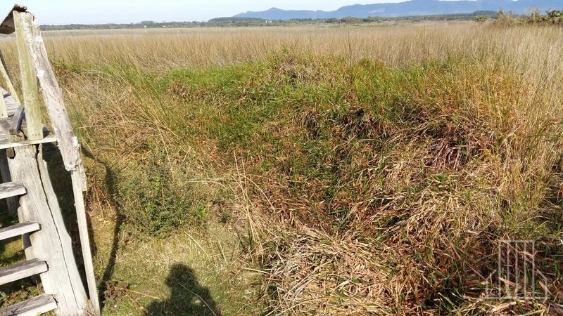 LINDÍSSIMO SÍTIO ESPETACULAR À VENDA NO PALMITAL, EM OSÓRIO!: 19ª foto da galeria de imagens do imóvel
