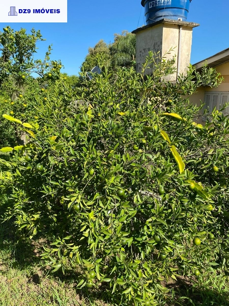 Chácara Beira de Lagoa – Seu Refúgio em Meio à Natureza!: 1ª foto da galeria de imagens do imóvel