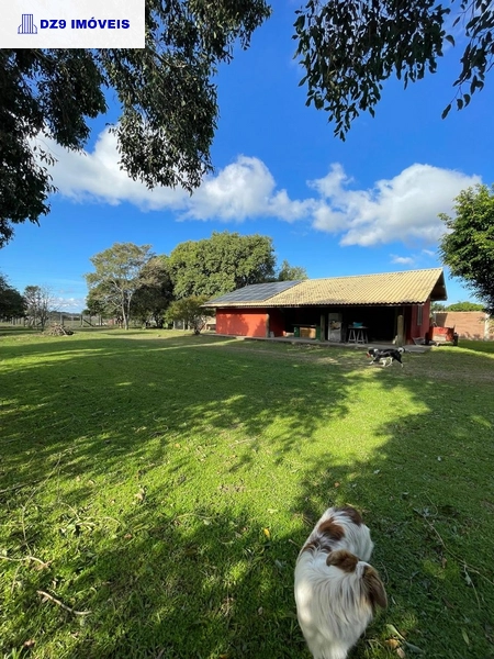 ENCANTADOR SÍTIO À BEIRA DA LAGOA EM OSÓRIO: 5ª foto da galeria de imagens do imóvel