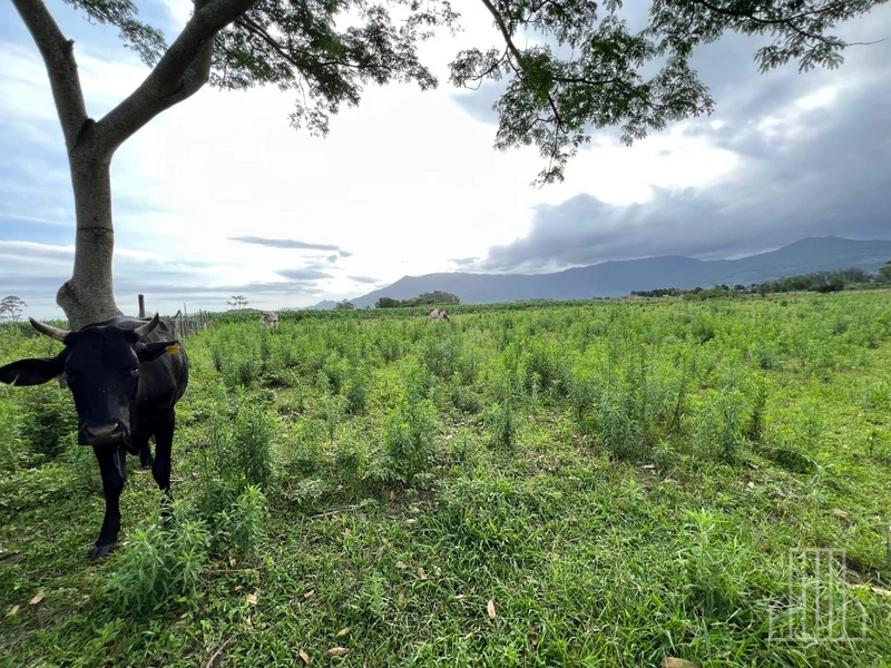 Sítio de 1,5 Hectares com Casa Completa e  Infraestrutura de Lazer!: 17ª foto da galeria de imagens do imóvel