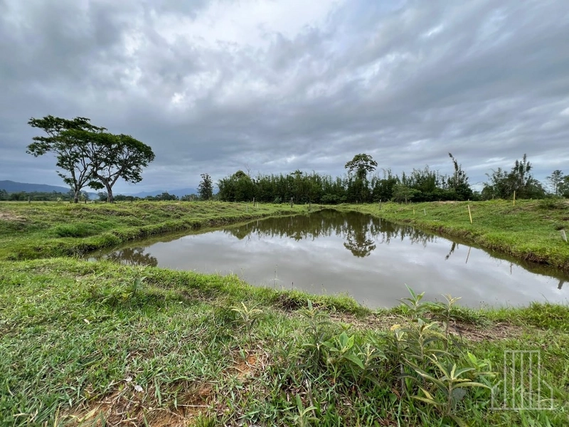 Sítio de 1,5 Hectares com Casa Completa e  Infraestrutura de Lazer!: 23ª foto da galeria de imagens do imóvel