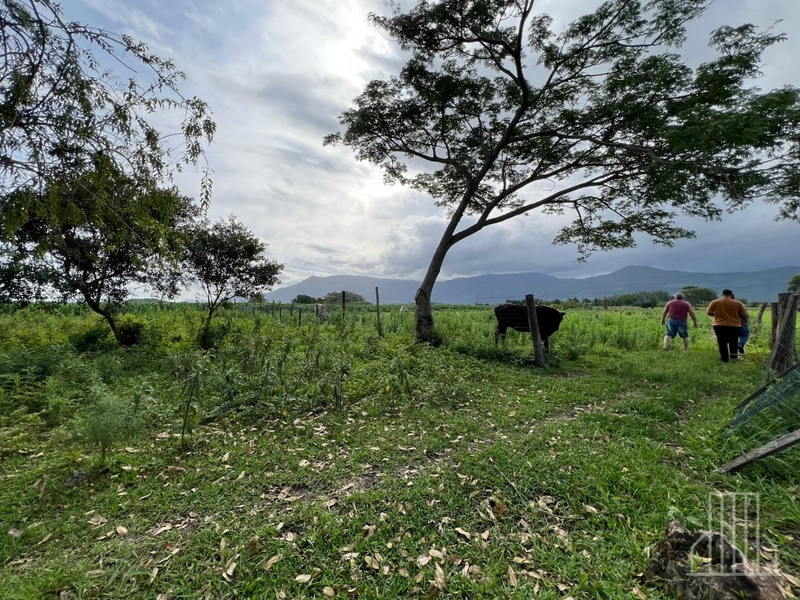 Sítio de 1,5 Hectares com Casa Completa e  Infraestrutura de Lazer!: 16ª foto da galeria de imagens do imóvel