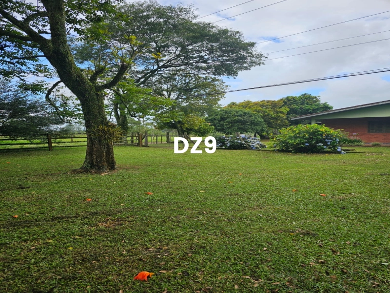 LINDO SÍTIO EM SANGA FUNDA, EM TERRA DE AREIA!: 20ª foto da galeria de imagens do imóvel