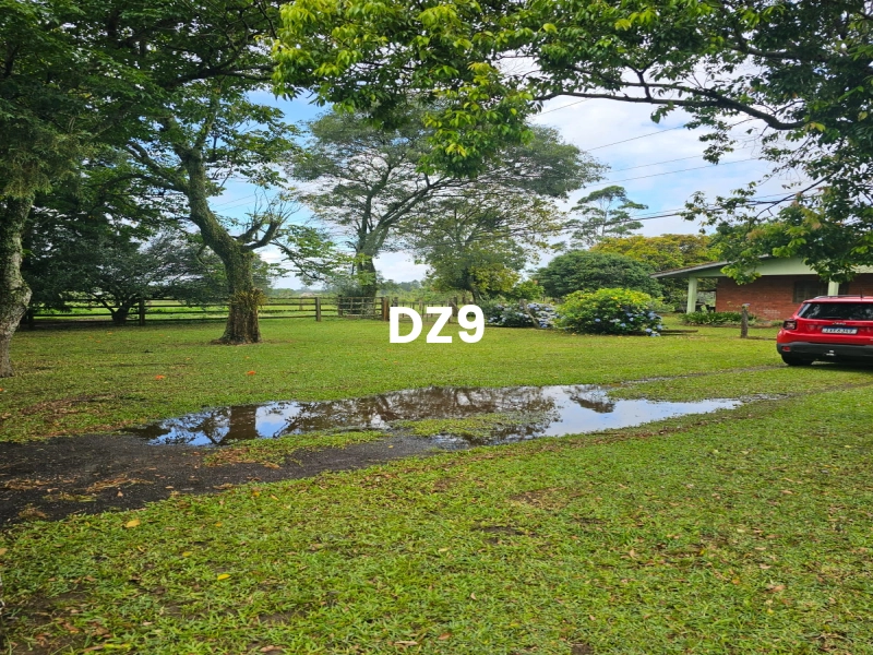 LINDO SÍTIO EM SANGA FUNDA, EM TERRA DE AREIA!: 17ª foto da galeria de imagens do imóvel