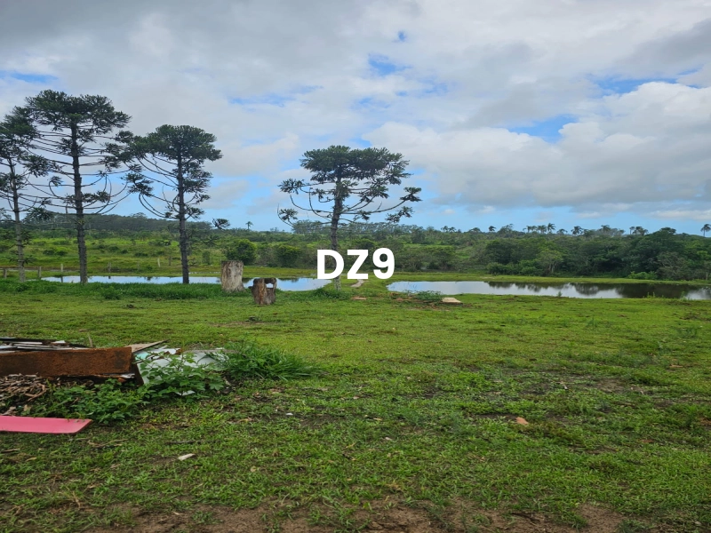 LINDO SÍTIO EM SANGA FUNDA, EM TERRA DE AREIA!: 2ª foto da galeria de imagens do imóvel