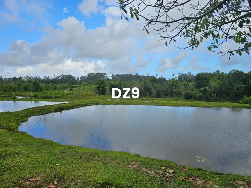 LINDO SÍTIO EM SANGA FUNDA, EM TERRA DE AREIA!: 21ª foto da galeria de imagens do imóvel