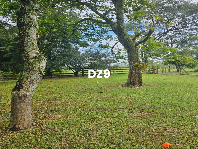 LINDO SÍTIO EM SANGA FUNDA, EM TERRA DE AREIA!: 15ª foto da galeria de imagens do imóvel