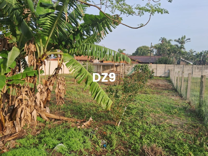 SEU NOVO ESPAÇO: TERRENO PRONTO PARA CONSTRUÇÃO: 3ª foto da galeria de imagens do imóvel