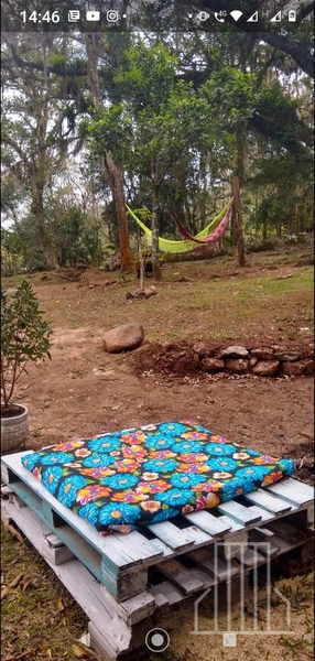 OPORTUNIDADE ÚNICA: SÍTIO ESPETACULAR À VENDA!: 24ª foto da galeria de imagens do imóvel