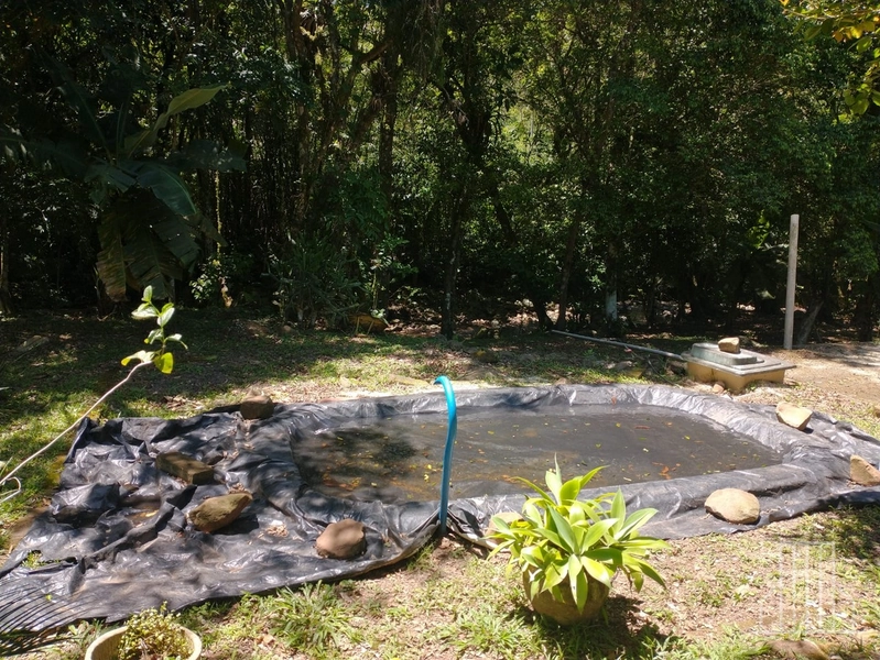 OPORTUNIDADE ÚNICA: SÍTIO ESPETACULAR À VENDA!: 14ª foto da galeria de imagens do imóvel