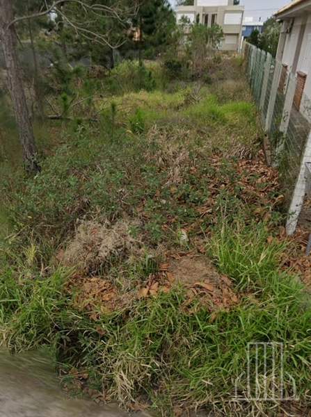 Terreno de 300m² em Capão Novo Village –: 2ª foto da galeria de imagens do imóvel