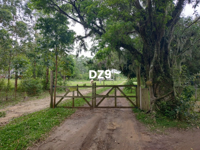 CHARMOSA CASA DE MADEIRA EM MORRO ALTO, MAQUINÉ!: 19ª foto da galeria de imagens do imóvel