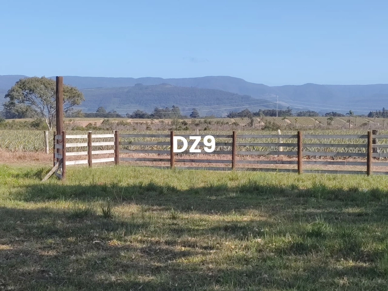 EXCELENTE CHÁCARA À VENDA EM PERPÉTUO SOCORRO, TERRA DE AREIA: 16ª foto da galeria de imagens do imóvel