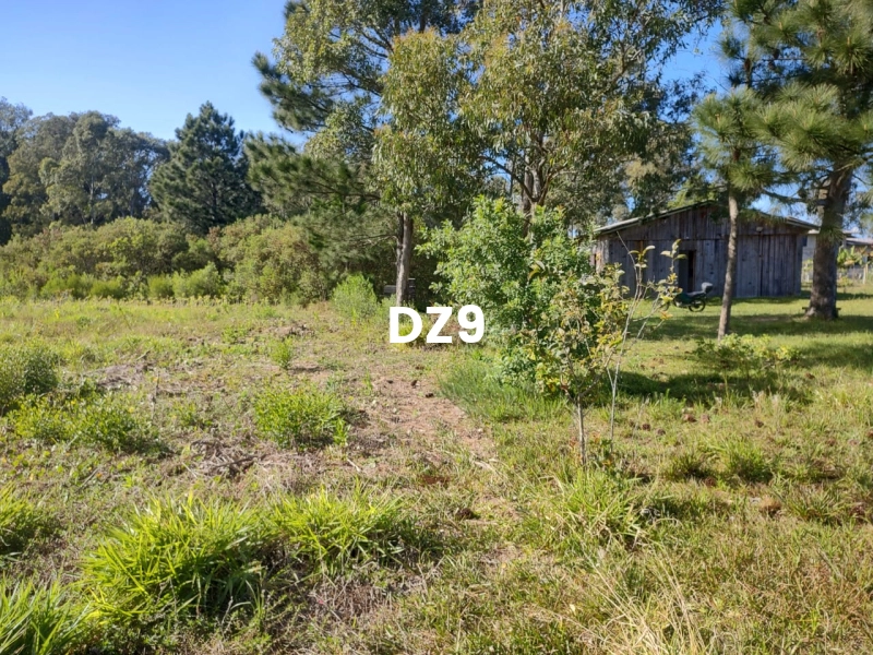 EXCELENTE CHÁCARA À VENDA EM PERPÉTUO SOCORRO, TERRA DE AREIA: 3ª foto da galeria de imagens do imóvel