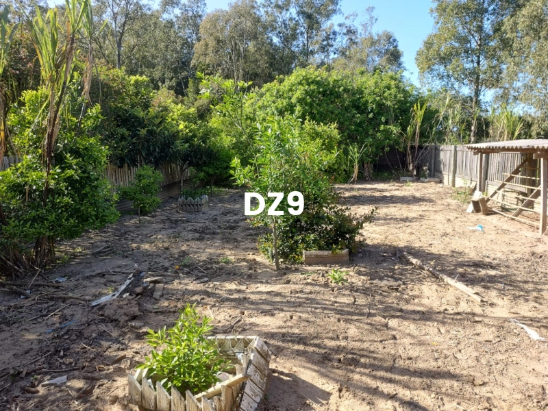 EXCELENTE CHÁCARA À VENDA EM PERPÉTUO SOCORRO, TERRA DE AREIA: 12ª foto da galeria de imagens do imóvel