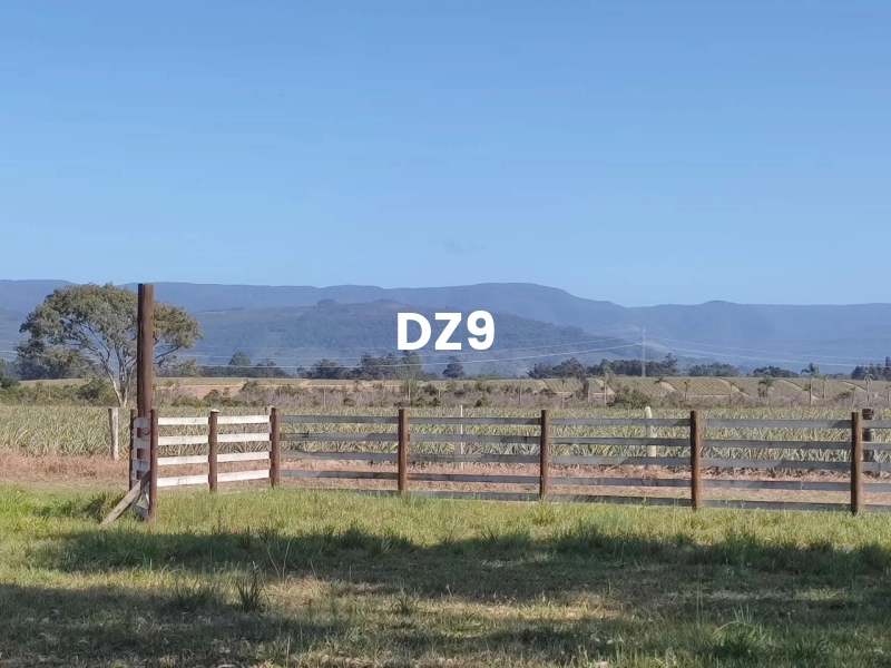 EXCELENTE CHÁCARA À VENDA EM PERPÉTUO SOCORRO, TERRA DE AREIA: 15ª foto da galeria de imagens do imóvel