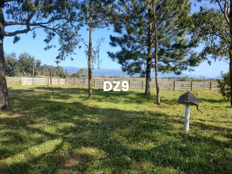 EXCELENTE CHÁCARA À VENDA EM PERPÉTUO SOCORRO, TERRA DE AREIA: 13ª foto da galeria de imagens do imóvel