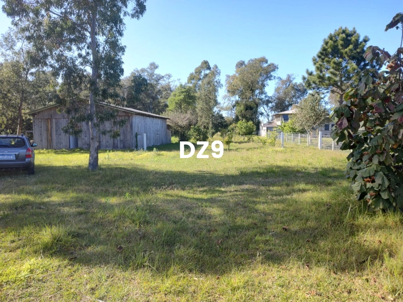 EXCELENTE CHÁCARA À VENDA EM PERPÉTUO SOCORRO, TERRA DE AREIA: 1ª foto da galeria de imagens do imóvel