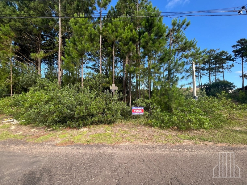 Excelente Oportunidade: Terreno à Venda em Capão Novo Village: 1ª foto da galeria de imagens do imóvel