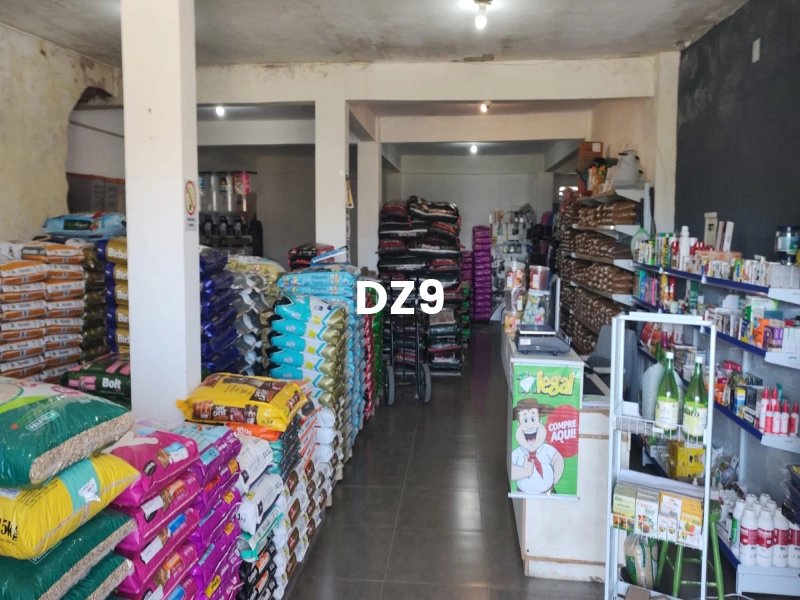 EXCELENTE RESIDENCIAL À VENDA NO BAIRRO GUARANI EM CAPÃO DA CANOA!: 3ª foto da galeria de imagens do imóvel