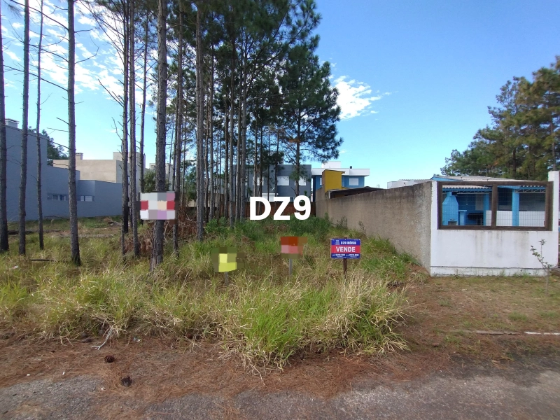 TERRENO À VENDA: OPORTUNIDADE ÚNICA EM CAPÃO NOVO: 1ª foto da galeria de imagens do imóvel