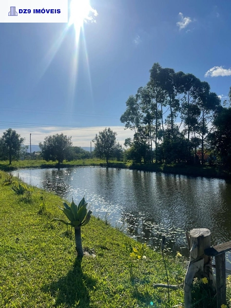 Casa de 2 dormitórios, ampla área e espaço para animais.: 5ª foto da galeria de imagens do imóvel