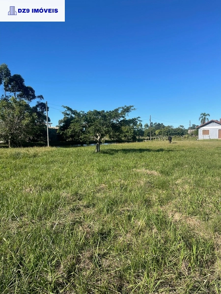 Casa de 2 dormitórios, ampla área e espaço para animais.: 3ª foto da galeria de imagens do imóvel