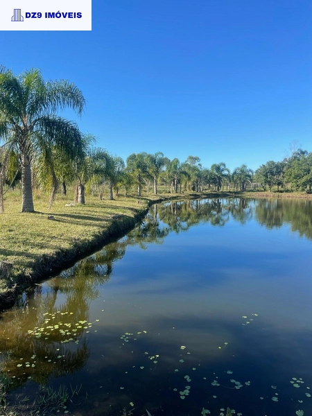Casa de 2 dormitórios, ampla área e espaço para animais.: 9ª foto da galeria de imagens do imóvel