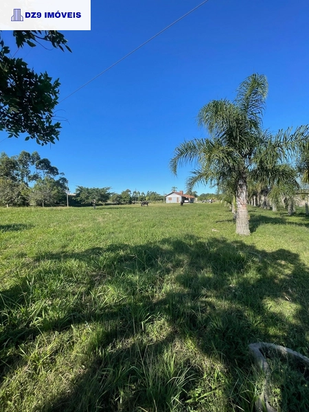 Casa de 2 dormitórios, ampla área e espaço para animais.: 18ª foto da galeria de imagens do imóvel