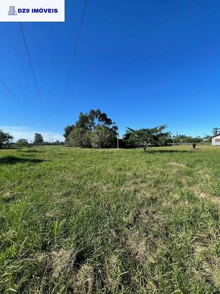 Casa de 2 dormitórios, ampla área e espaço para animais.: 11ª foto da galeria de imagens do imóvel