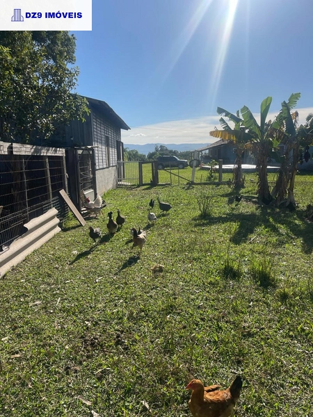 Casa de 2 dormitórios, ampla área e espaço para animais.: 14ª foto da galeria de imagens do imóvel