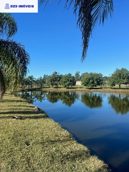 Casa de 2 dormitórios, ampla área e espaço para animais.: 4ª foto da galeria de imagens do imóvel