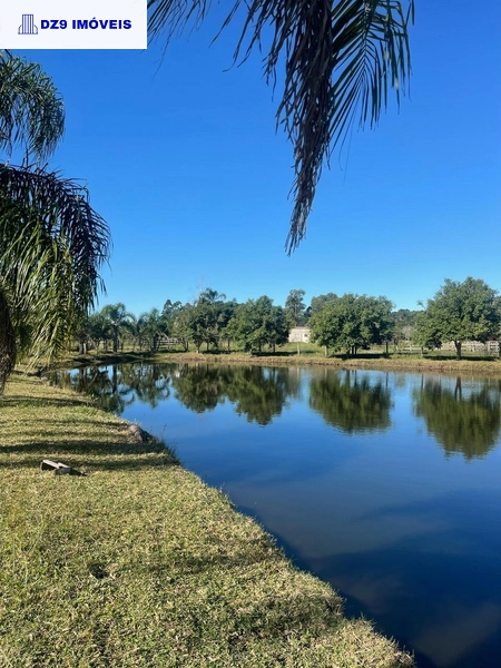 Casa de 2 dormitórios, ampla área e espaço para animais.: 7ª foto da galeria de imagens do imóvel