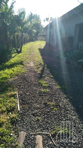 SÍTIO À VENDA EM FAXINAL DE MORRO ALTO - MAQUINÉ: 2ª foto da galeria de imagens do imóvel