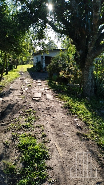 SÍTIO À VENDA EM FAXINAL DE MORRO ALTO - MAQUINÉ: 6ª foto da galeria de imagens do imóvel