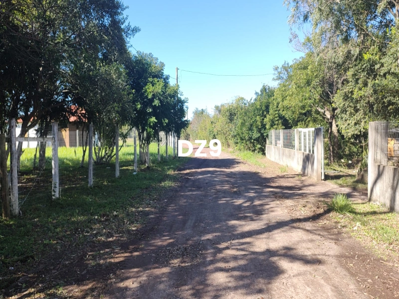 CHÁCARA EM MORRO ALTO: 2ª foto da galeria de imagens do imóvel