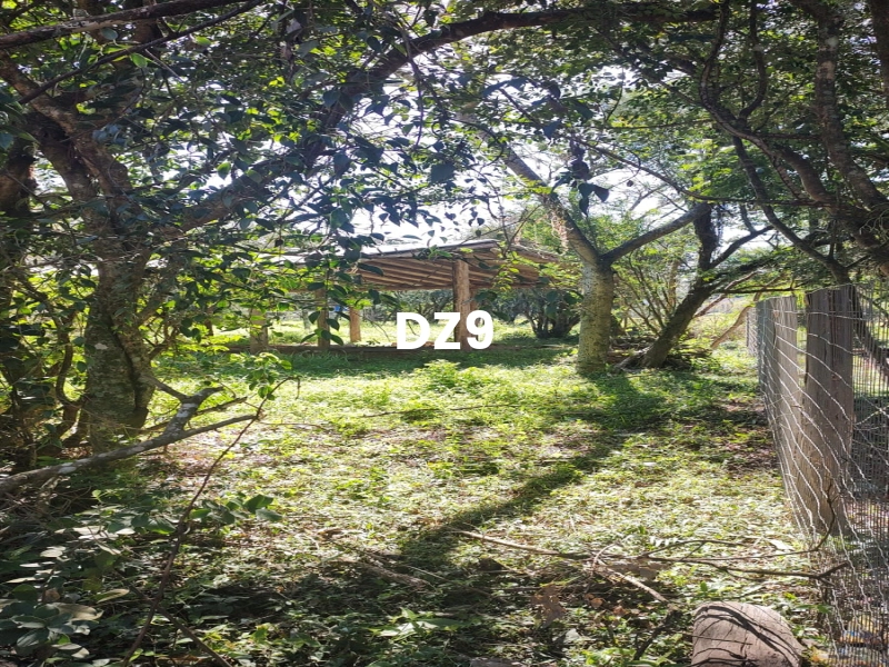 CHÁCARA EM MORRO ALTO: 1ª foto da galeria de imagens do imóvel