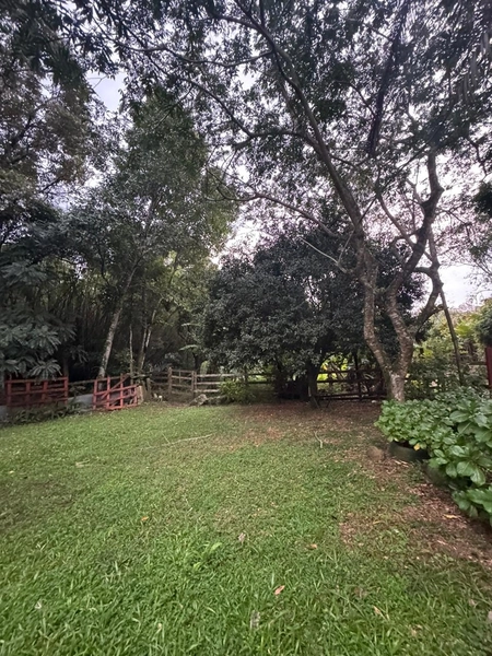 Chácara com 2 Casas em Terra de Areia – Ótima Oportunidade com Negociação Flexível: 11ª foto da galeria de imagens do imóvel