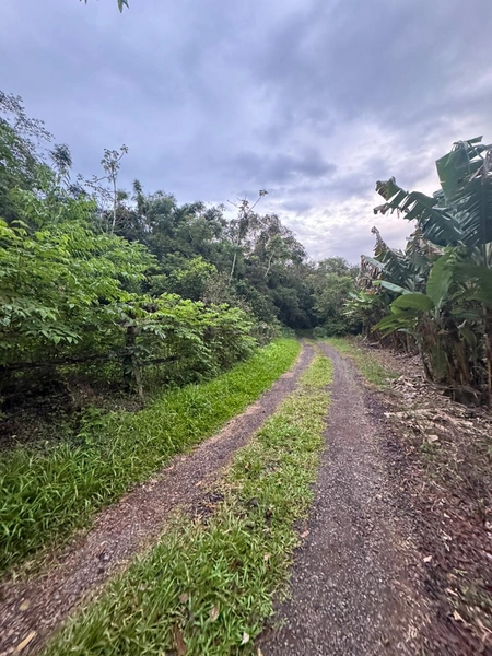 Chácara com 2 Casas em Terra de Areia – Ótima Oportunidade com Negociação Flexível: 19ª foto da galeria de imagens do imóvel