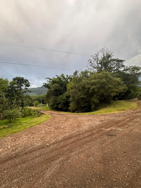 Chácara com 2 Casas em Terra de Areia – Ótima Oportunidade com Negociação Flexível: 18ª foto da galeria de imagens do imóvel