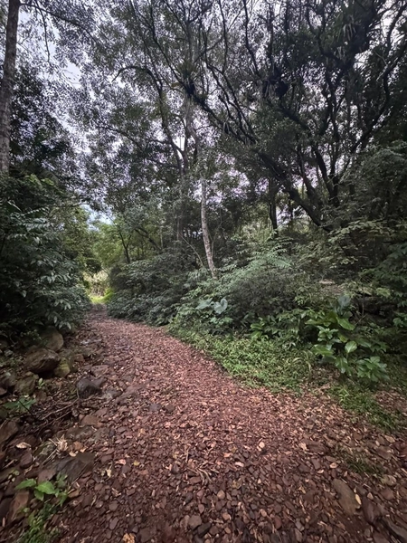 Chácara com 2 Casas em Terra de Areia – Ótima Oportunidade com Negociação Flexível: 15ª foto da galeria de imagens do imóvel