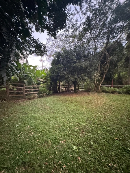 Chácara com 2 Casas em Terra de Areia – Ótima Oportunidade com Negociação Flexível: 10ª foto da galeria de imagens do imóvel