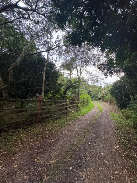 Chácara com 2 Casas em Terra de Areia – Ótima Oportunidade com Negociação Flexível: 14ª foto da galeria de imagens do imóvel