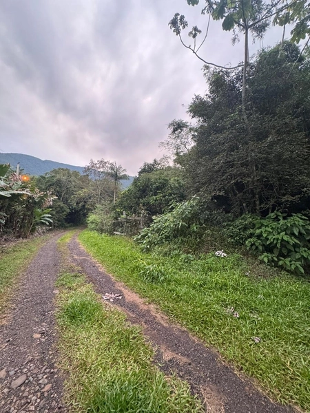 Chácara com 2 Casas em Terra de Areia – Ótima Oportunidade com Negociação Flexível: 9ª foto da galeria de imagens do imóvel