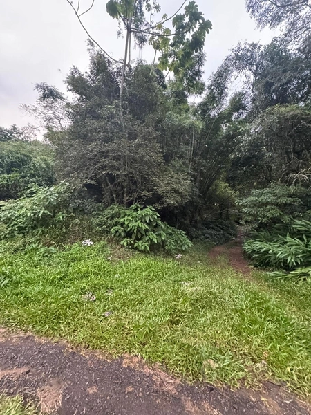 Chácara com 2 Casas em Terra de Areia – Ótima Oportunidade com Negociação Flexível: 16ª foto da galeria de imagens do imóvel