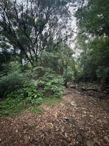 Chácara com 2 Casas em Terra de Areia – Ótima Oportunidade com Negociação Flexível: 17ª foto da galeria de imagens do imóvel