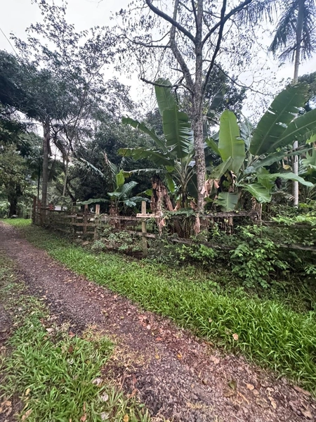 Chácara com 2 Casas em Terra de Areia – Ótima Oportunidade com Negociação Flexível: 12ª foto da galeria de imagens do imóvel